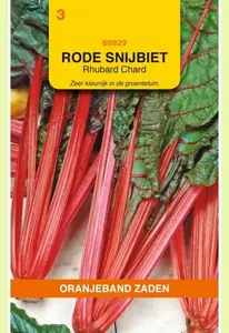 Snijbiet Rhubarb Chard Oranjeband - afbeelding 1