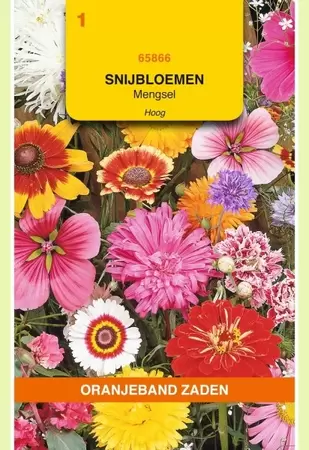 Snijbloemen mengsel Oranjeband - afbeelding 1