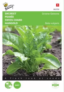 Bleekselderij Pascal, Groene Volpijp Buzzy Seeds - afbeelding 1