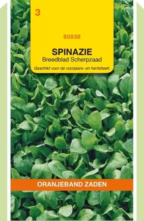 Spinazie Breedblad Scherpzaad, 50g Oranjeband - afbeelding 1
