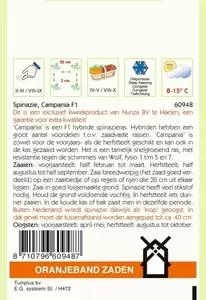 Spinazie Campania F1, 15g Oranjeband - afbeelding 2