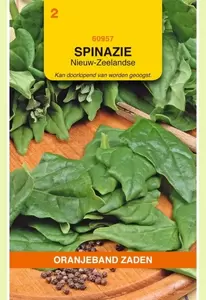 Spinazie Nieuw-Zeelandse Oranjeband - afbeelding 1