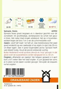 Spinazie Nores, 15g Oranjeband - afbeelding 2