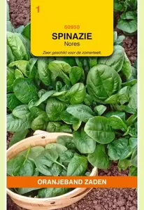 Spinazie Nores, 15g Oranjeband - afbeelding 1