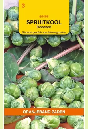 Spruitkool Roodnerf Oranjeband - afbeelding 1