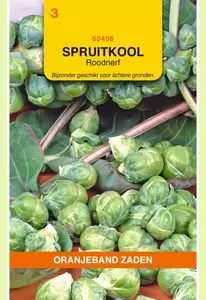 Spruitkool Roodnerf Oranjeband - afbeelding 1