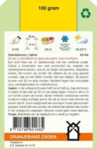 Stamslabonen Calima (Haricots Verts), 100g Oranjeband - afbeelding 2