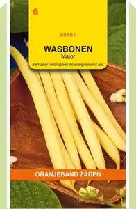 Stamslabonen Major (Wasbonen), 100g Oranjeband - afbeelding 2