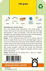 Stamslabonen Purple Queen, 100g Oranjeband - afbeelding 2