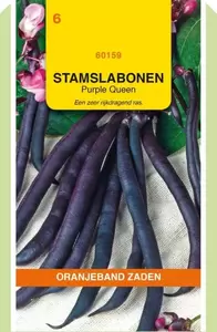 Stamslabonen Purple Queen, 100g Oranjeband - afbeelding 1