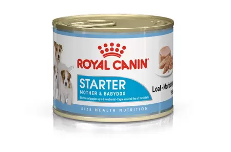 Starter Mousse Mother & Babydog 195 gr