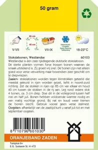 Stokslabonen Westlandse, 50g Oranjeband - afbeelding 2