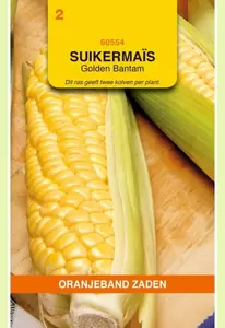 Suikermais Golden Bantam Oranjeband - afbeelding 1
