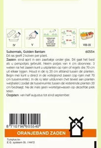 Suikermais Golden Bantam Oranjeband - afbeelding 2