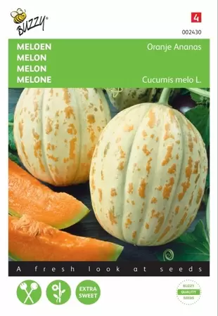 Meloenen Piñonet Piel De Sapo Buzzy Seeds - afbeelding 1