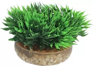 Sydeco kunststofplant Green Moss, 7 cm