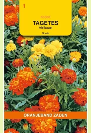 Tagetes, Afrikaan Bonita gemengd Oranjeband - afbeelding 1