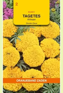 Tagetes, Afrikaan Gouden Eeuw Oranjeband - afbeelding 1