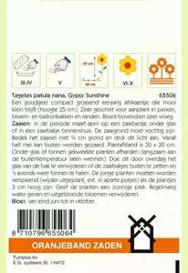 Tagetes, Afrikaan Gypsy Sunshine Oranjeband - afbeelding 2