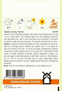 Tagetes, Afrikaan Hawaii Oranjeband - afbeelding 2