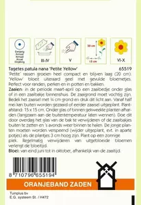 Tagetes, Afrikaan Petite Yellow Oranjeband - afbeelding 2