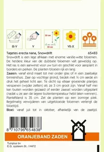 Tagetes, Afrikaan Snowdrift Oranjeband - afbeelding 2