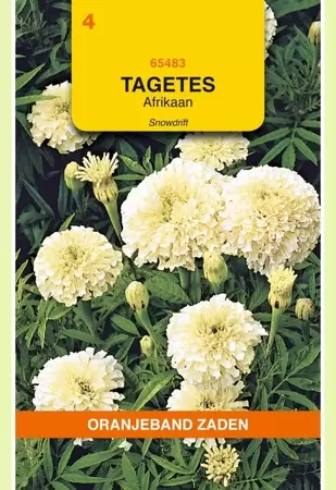 Tagetes, Afrikaan Snowdrift Oranjeband - afbeelding 1