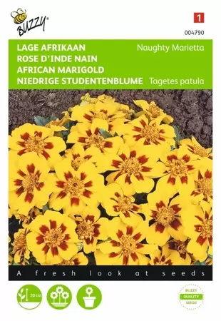 Tagetes, lage Afrikaan Bonita Buzzy Seeds - afbeelding 1