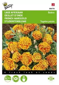 Tagetes, lage Afrikaan Petite Yellow Buzzy Seeds - afbeelding 1