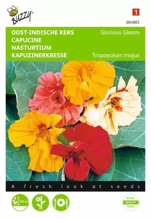 Tropaeolum, Oost-Indische kers enkelbloemig gemengd Buzzy Seeds - afbeelding 1