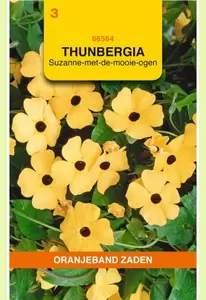 Thunbergia, Suzanne-met-de-mooie-ogen Oranjeband - afbeelding 1