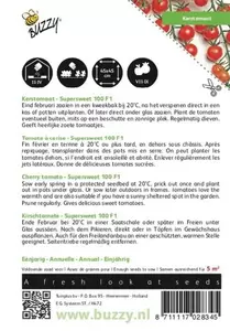 Kerstomaat Micro Cherry Buzzy Seeds - afbeelding 2