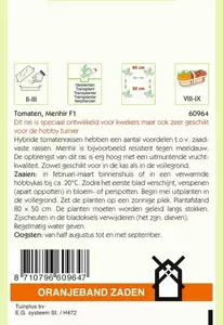 Tomaten Menhir F1 Oranjeband - afbeelding 2