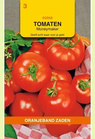 Tomaten Moneymaker Oranjeband - afbeelding 1