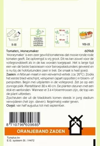 Tomaten Moneymaker Oranjeband - afbeelding 2