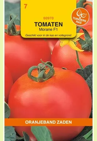 Tomaten Morane F1 Oranjeband - afbeelding 1