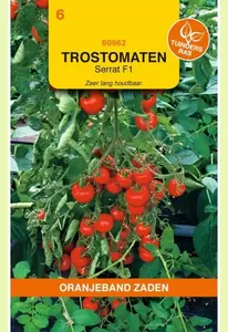 Tomaten Serrat F1 Oranjeband - afbeelding 1