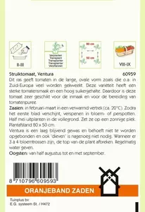 Tomaten Ventura (wordt Roma VF) Oranjeband - afbeelding 2