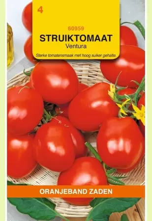 Tomaten Ventura (wordt Roma VF) Oranjeband - afbeelding 1