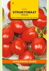 Tomaten Ventura (wordt Roma VF) Oranjeband - afbeelding 1