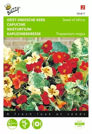 Tropaeolum, Oost-indische kers Alaska TT Salmon Buzzy Seeds - afbeelding 1