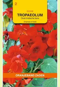 Tropaeolum, Oost-Indische kers Empress of India Rood Oranjeband - afbeelding 1