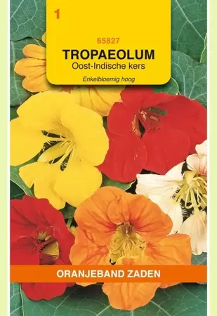 Tropaeolum, Oost-Indische kers enkelbloemig hoog Oranjeband - afbeelding 1