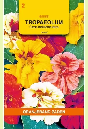 Tropaeolum, Oost-Indische kers Jewel dubbelbl. gemengd Oranjeband - afbeelding 1
