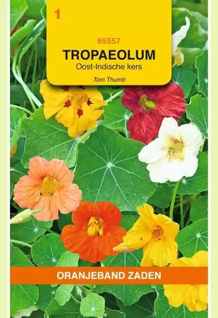 Tropaeolum, Oost-Indische kers Tom Thumb enkelbl.gemengd Oranjeband - afbeelding 1