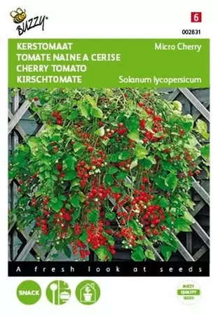 Tomaten Gourmandise (gele cherry patio) Buzzy Seeds - afbeelding 1