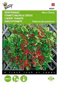 Tomaten Gourmandise (gele cherry patio) Buzzy Seeds - afbeelding 1