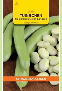 Tuinboon Masterpiece Green Longpod Oranjeband - afbeelding 2