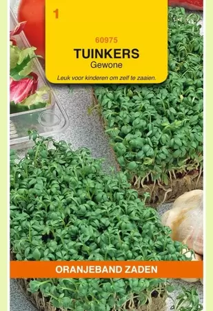 Tuinkers Gewone Oranjeband - afbeelding 1