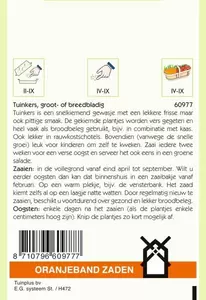 Tuinkers Grootbladig Oranjeband - afbeelding 2